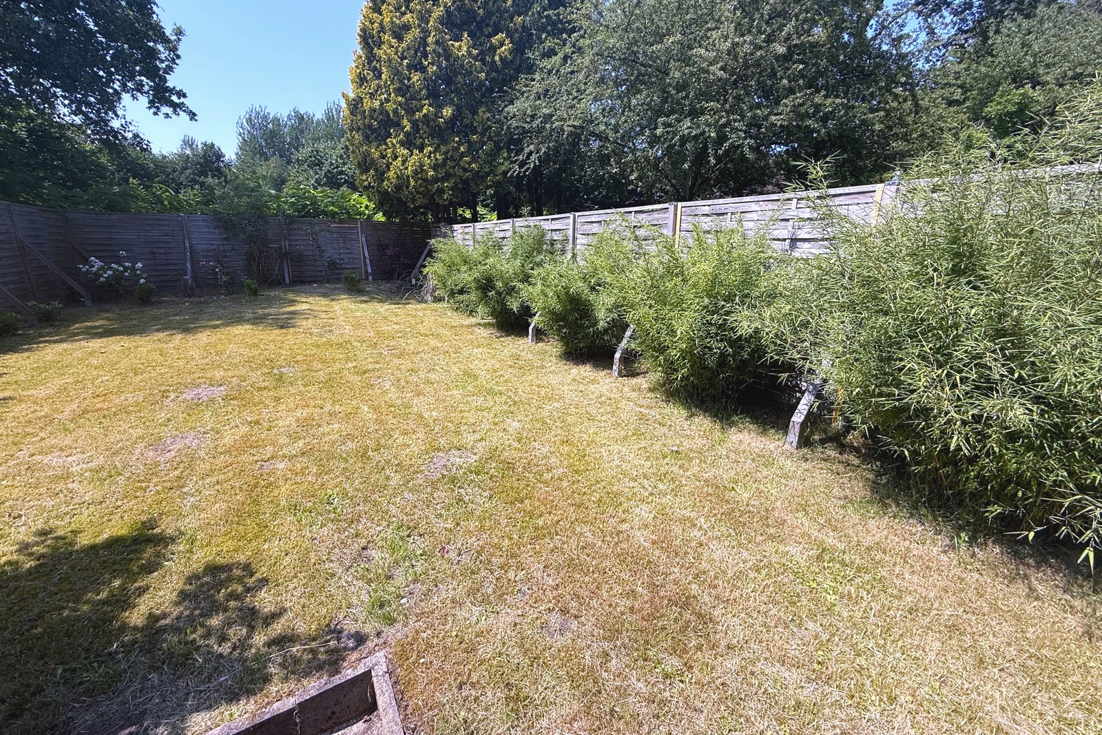 Garten mit Liegewiese
