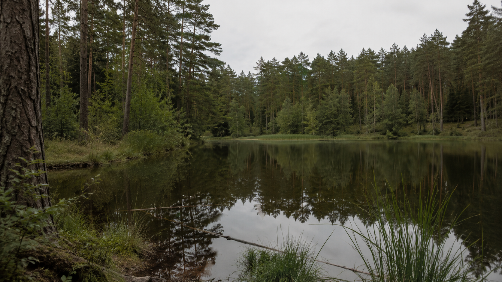 Stiller See im Forst Upjever